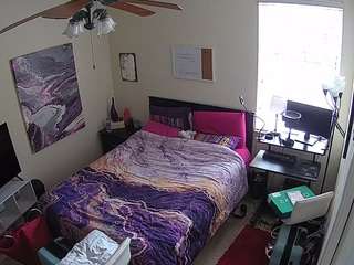 The Horny Hostel - Bedroom 2